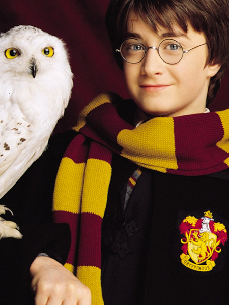 Figurine Pop Harry Potter et Hedwig (Harry Potter) #31 pas cher