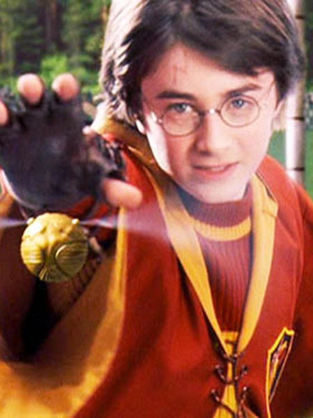 Harry Potter - Attrape le Vif d'Or
