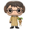 Figurine Pop Harry Potter herbology (Harry Potter)