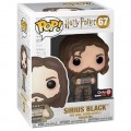 Figurine Pop Sirius Black Azkaban (Harry Potter)