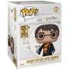 Figurine Pop Harry Potter et Hedwig super sized (Harry Potter)