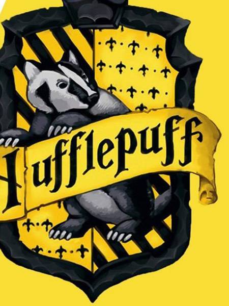 Figurine Pop Harry Potter #3 pas cher : Poufsouffle - Art Cover